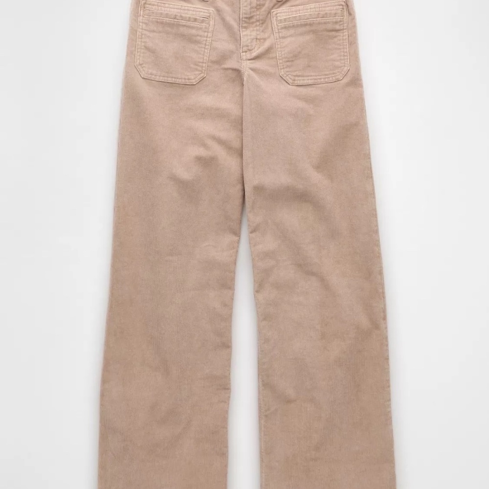 AE Stretch Corduroy Low-Rise Baggy Wide-Leg Pant